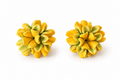Pakalana Cluster Stud